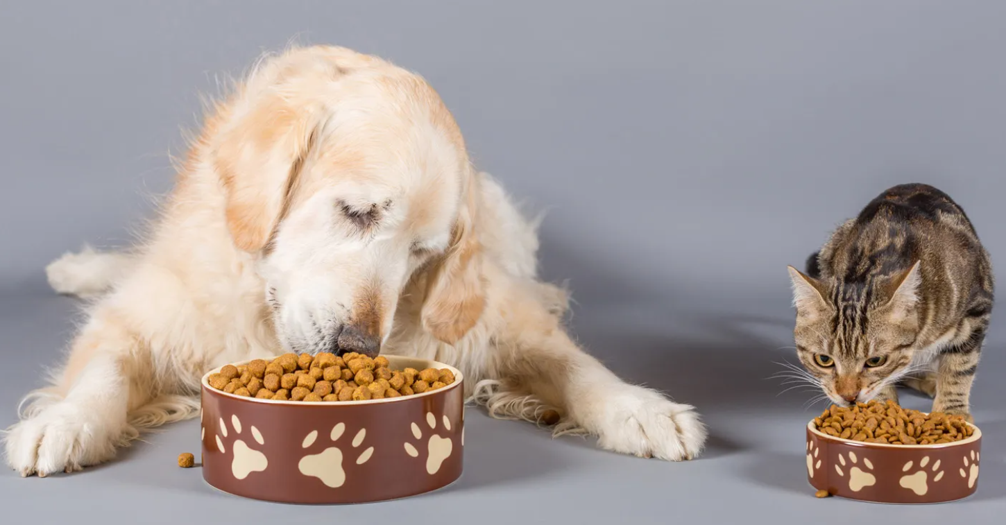 AAFCO Köpek ve Kedi Maması Besin Profilleri