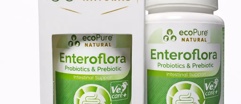 probiyotik enteroflora kedi