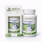 sindirim lif destegi psyllium plus kedi kopek