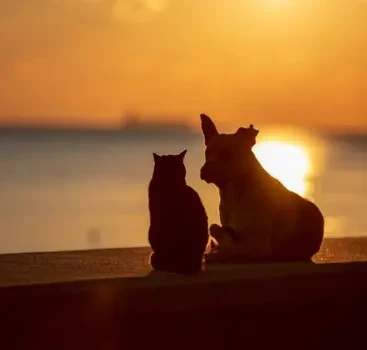 Adsız tasarım (14)