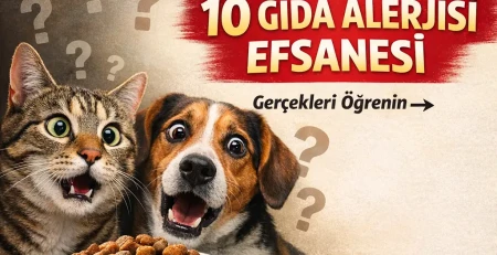 ChatGPT Image 19 Şub 2026 17_24_19