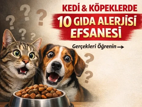 ChatGPT Image 19 Şub 2026 17_24_19