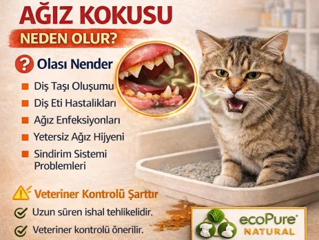 ChatGPT Image 13 Mar 2026 14_46_32