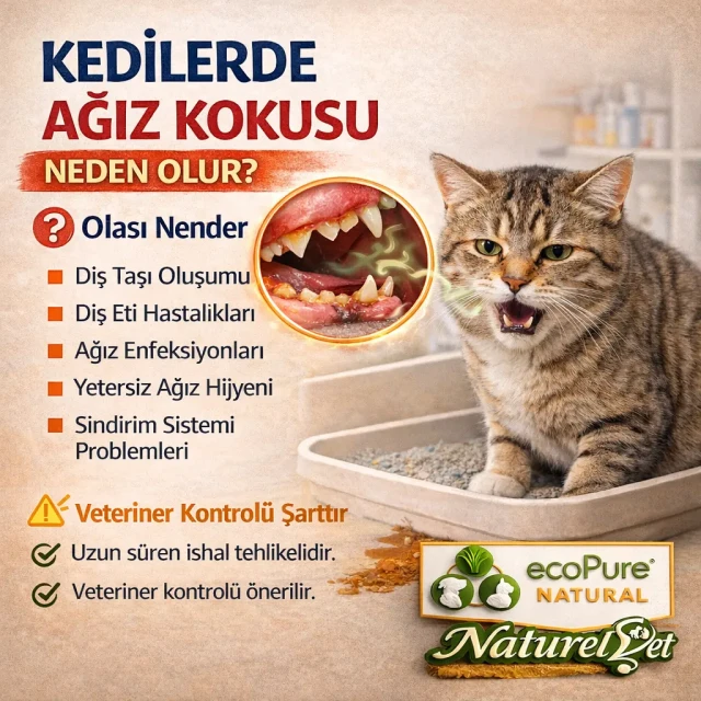 ChatGPT Image 13 Mar 2026 14_46_32