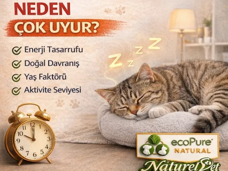 ChatGPT Image 13 Mar 2026 15_37_10