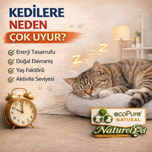 ChatGPT Image 13 Mar 2026 15_37_10