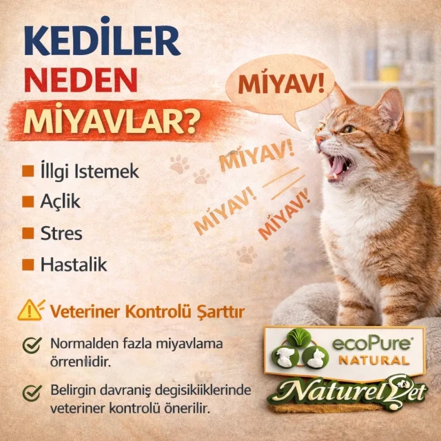 ChatGPT Image 13 Mar 2026 15_48_20