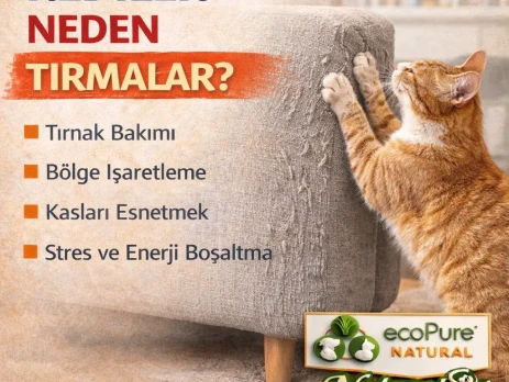 ChatGPT Image 13 Mar 2026 16_13_52