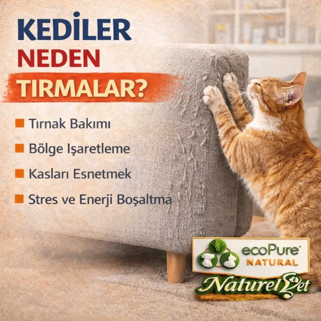 ChatGPT Image 13 Mar 2026 16_13_52