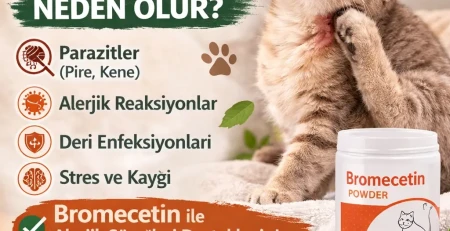 ChatGPT Image 14 Mar 2026 11_28_57