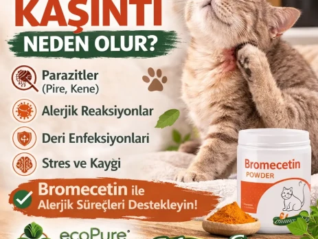 ChatGPT Image 14 Mar 2026 11_28_57