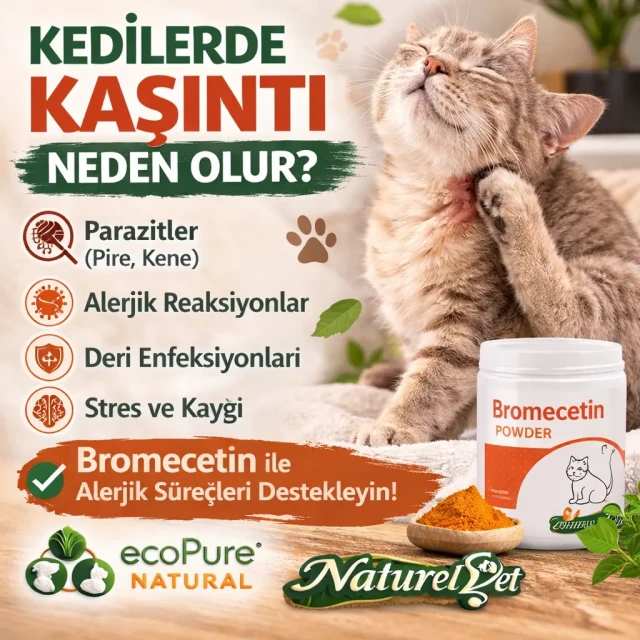 ChatGPT Image 14 Mar 2026 11_28_57