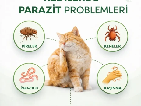 ChatGPT Image 16 Mar 2026 13_09_19