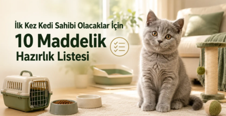 ChatGPT Image 19 Ağu 2026 15_09_16