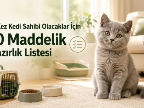 ChatGPT Image 19 Ağu 2026 15_09_16