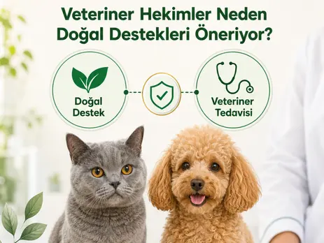 ve Düzenli Veteriner Kontrolleri Neden Önemli (1)
