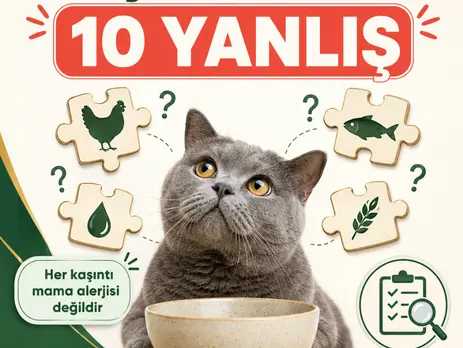 ve Düzenli Veteriner Kontrolleri Neden Önemli (2)